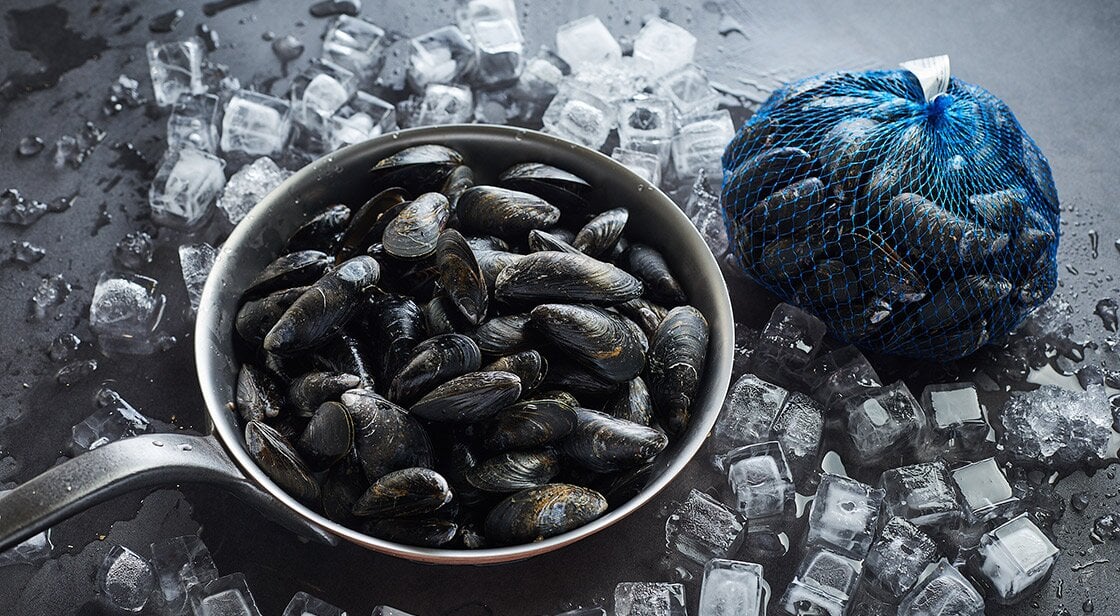 Norwegian fresh mussels on ice 