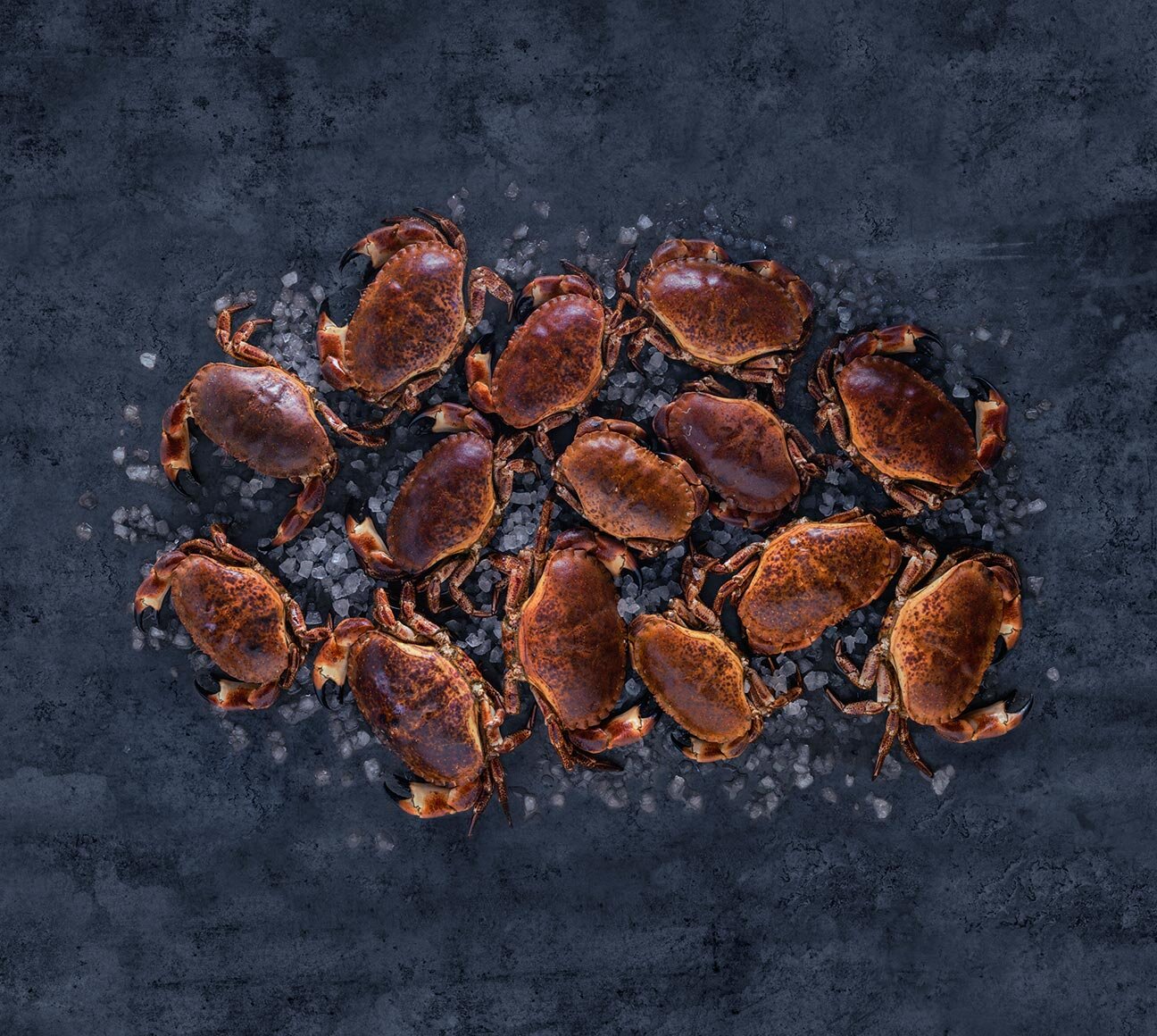 multiple Norwegian brown crab on ice