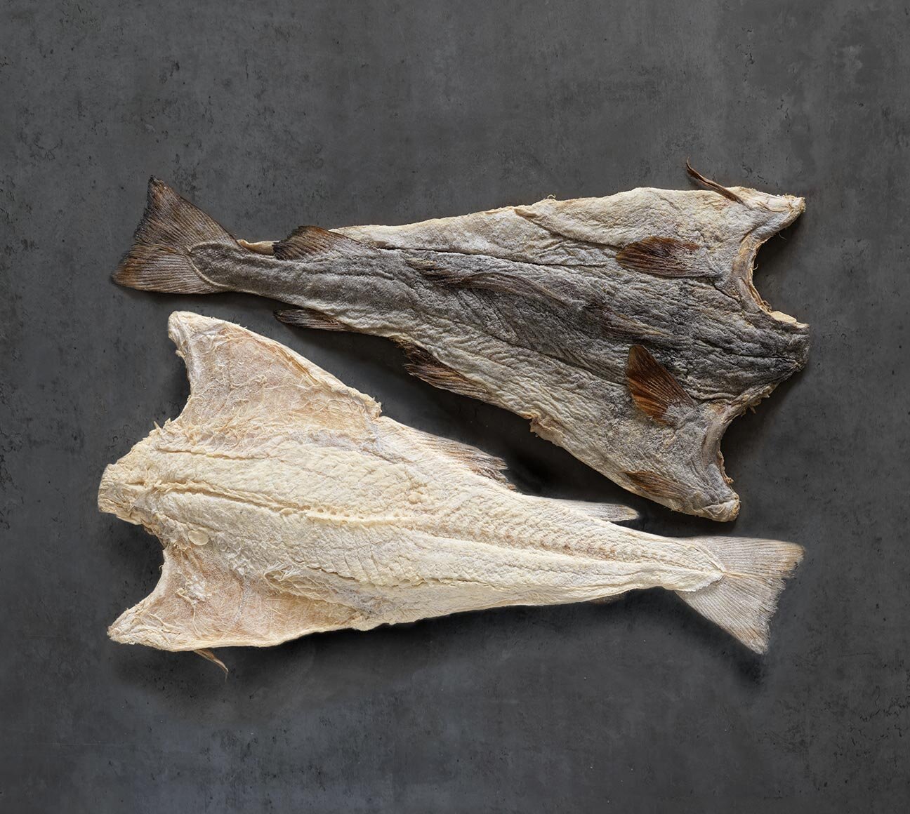 whole clipfish grey background