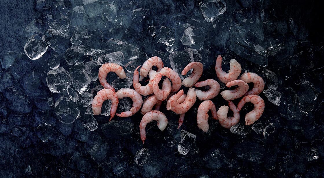 Cold water prawns on ice