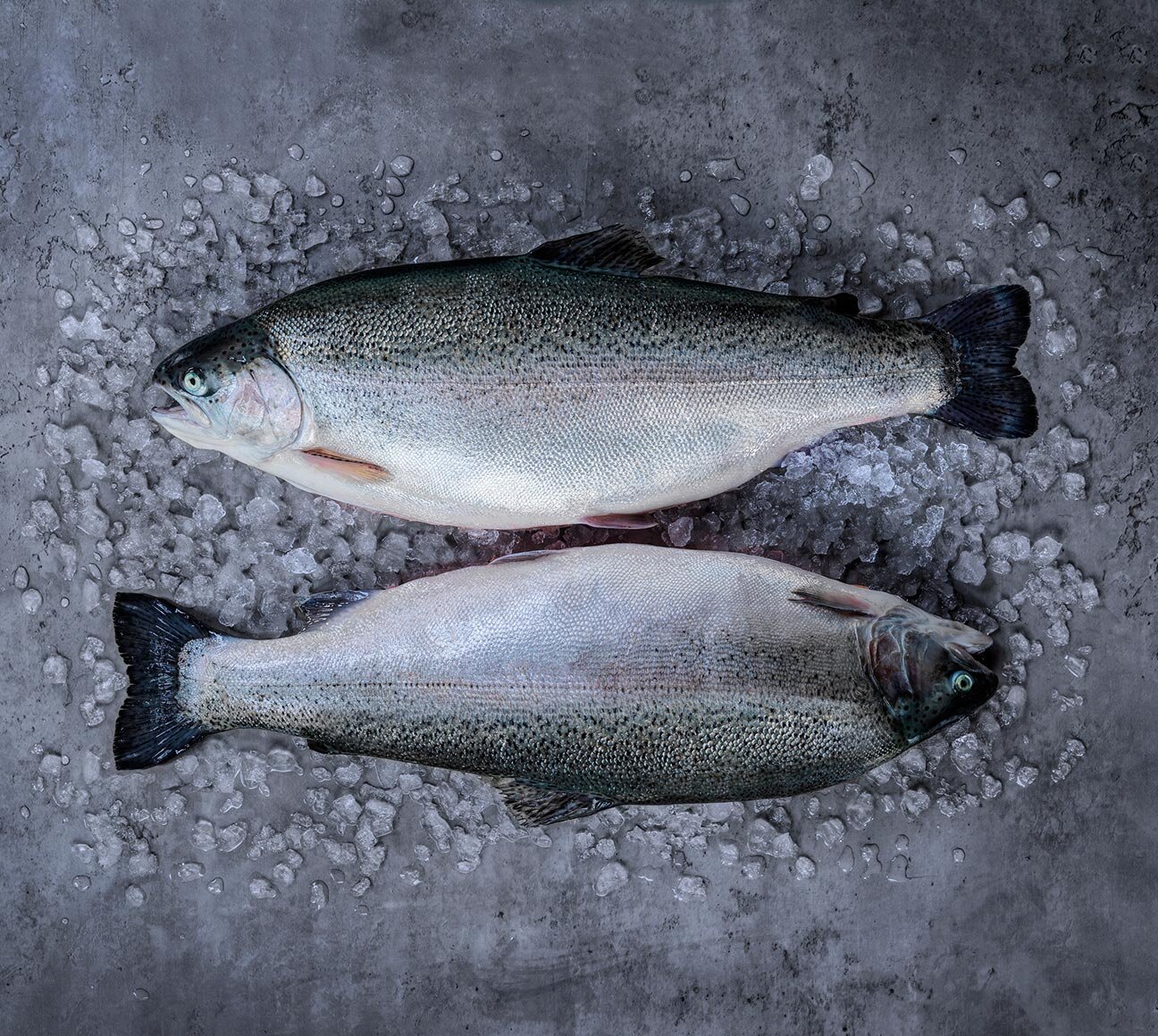 Whole Norwegian steelhead trout