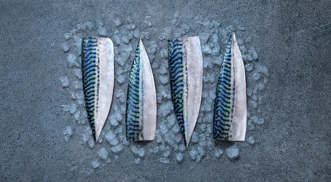 Mackerel fillets on ice