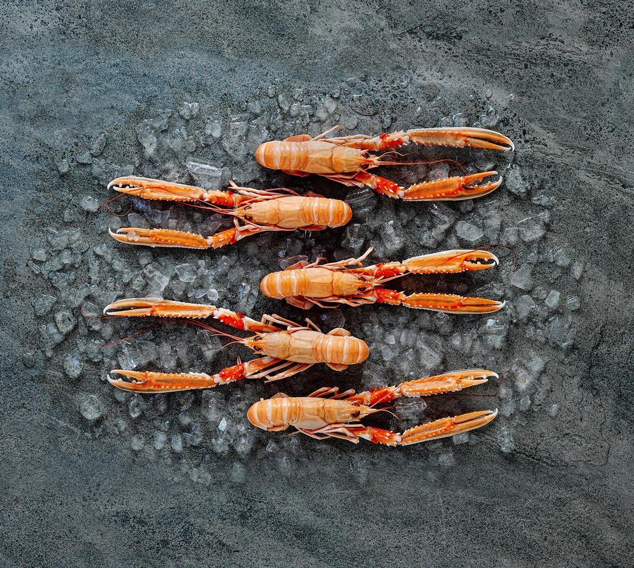 Norway lobster on ice