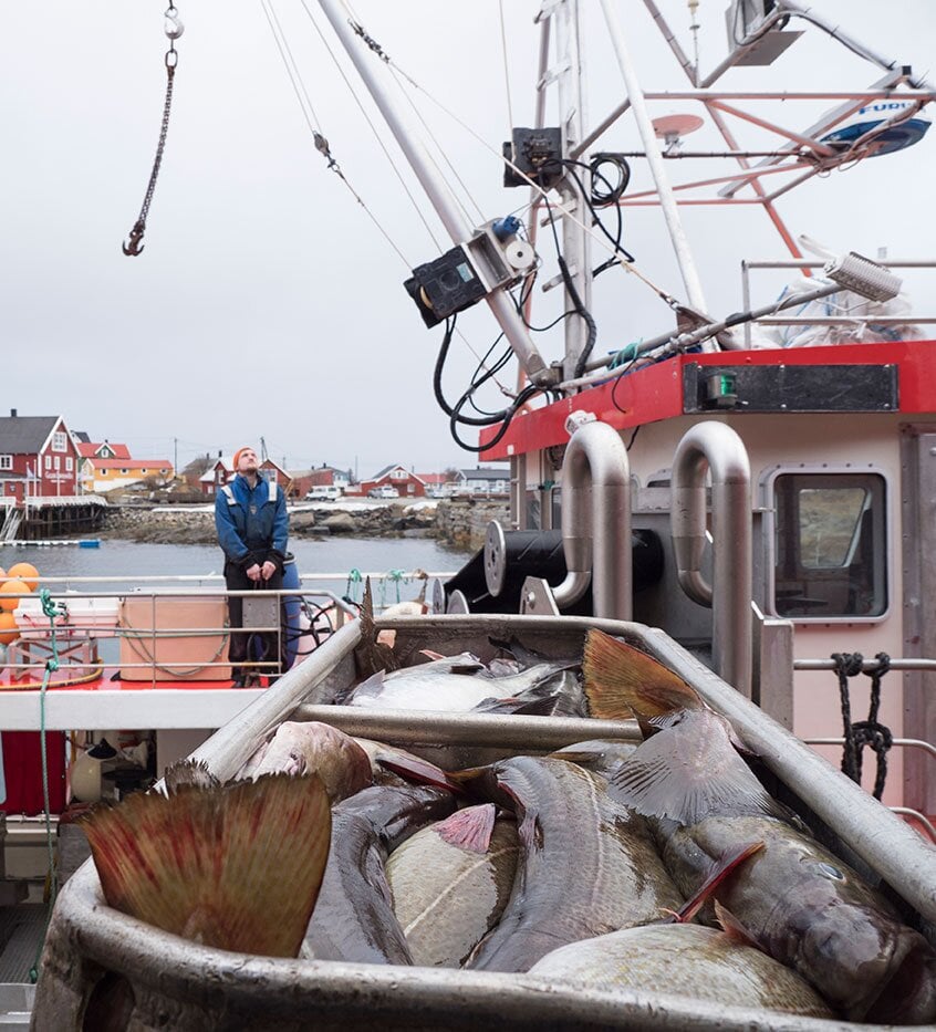 Docking and unloading the catch