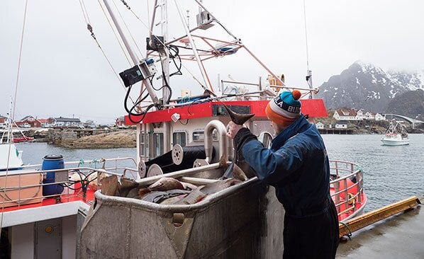 Asle unloading his catch