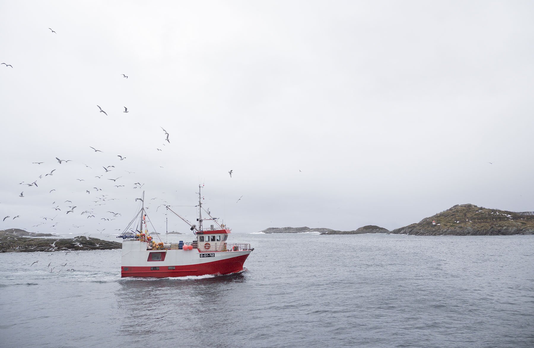 Boat heading out to fish